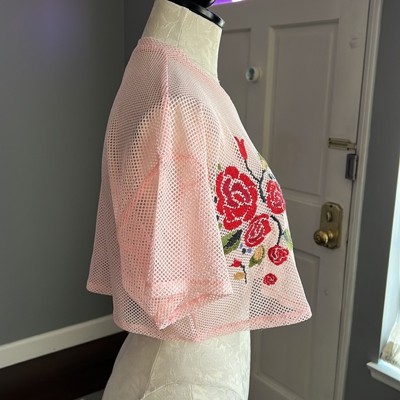 Forever 21 Pink Mesh Crop Top - Picture 3 of 7